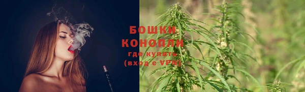 ГАЛЛЮЦИНОГЕННЫЕ ГРИБЫ Абаза