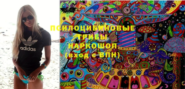 ГАЛЛЮЦИНОГЕННЫЕ ГРИБЫ Абаза