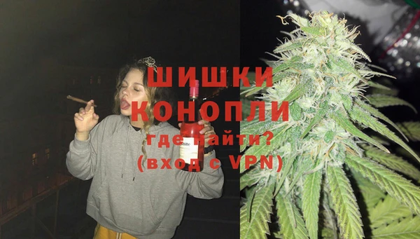 ГАЛЛЮЦИНОГЕННЫЕ ГРИБЫ Абаза