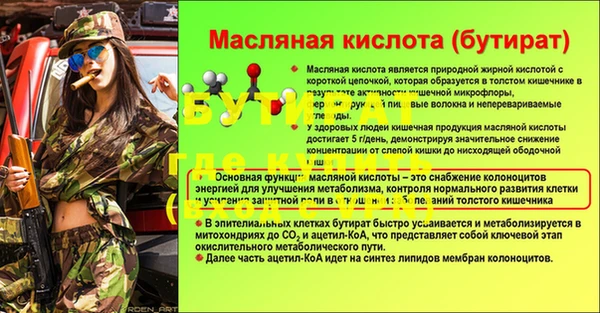 шишки Хадыженск