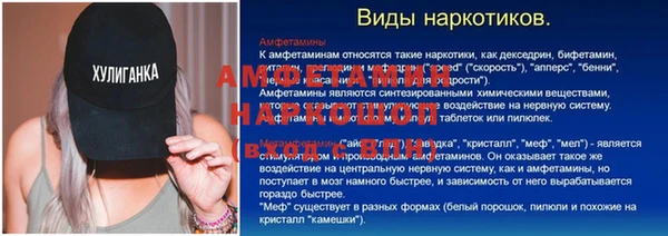 шишки Хадыженск